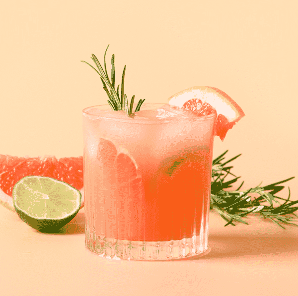 Paloma